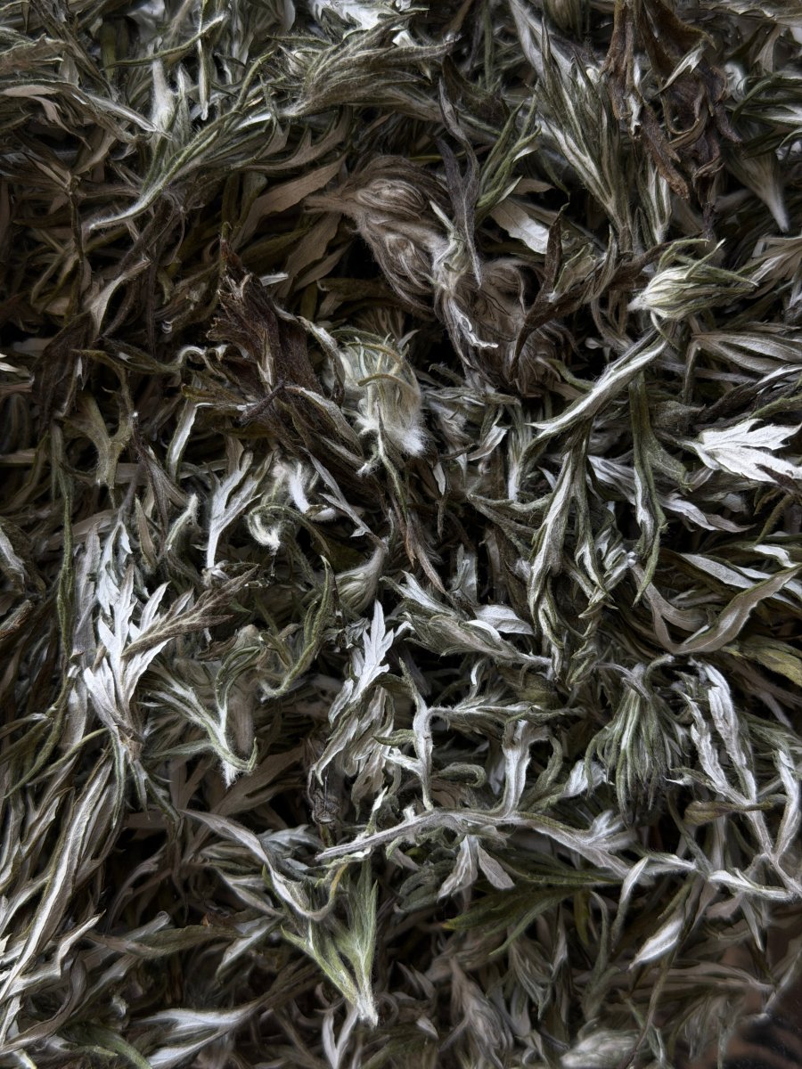 Mugwort Loose IncenseHaus of Moss + Moon- Haus of Moss and Moon