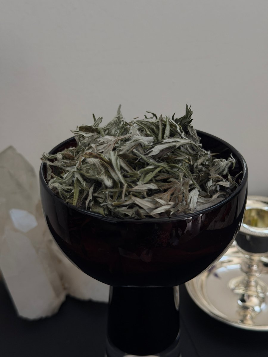 Mugwort Loose IncenseHaus of Moss + Moon- Haus of Moss and Moon