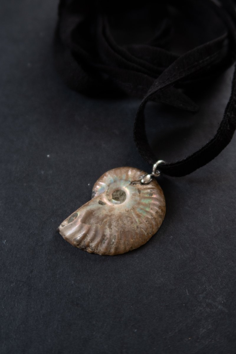NERIDA Ammonite Choker | palmworks x hom+m JewelleryHaus of Moss + Moon- Haus of Moss and Moon