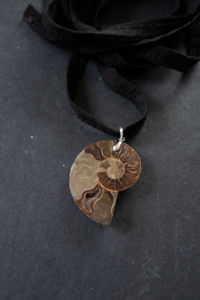 NERIDA Ammonite Choker | palmworks x hom+m JewelleryHaus of Moss + Moon- Haus of Moss and Moon