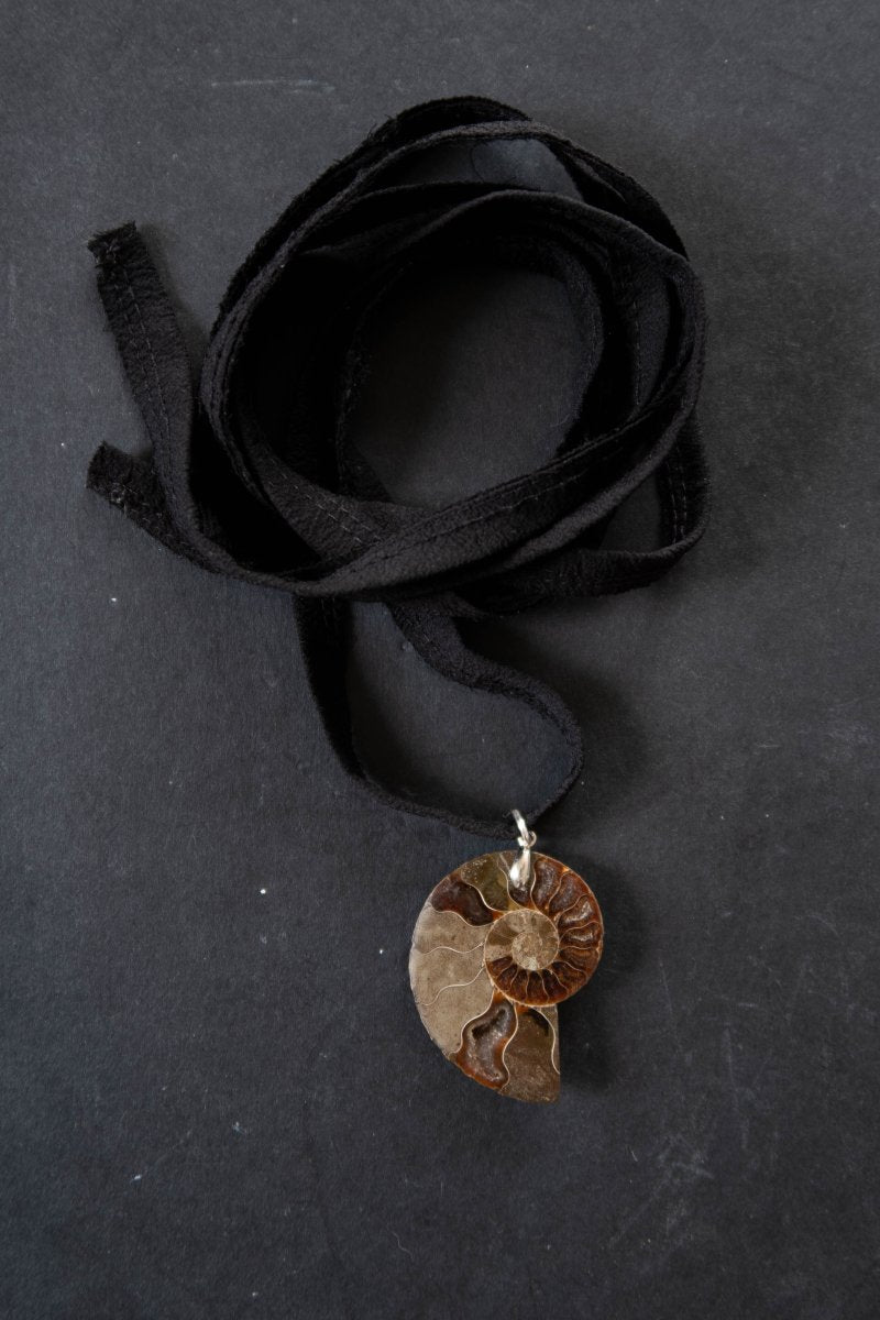 NERIDA Ammonite Choker | palmworks x hom+m JewelleryHaus of Moss + Moon- Haus of Moss and Moon