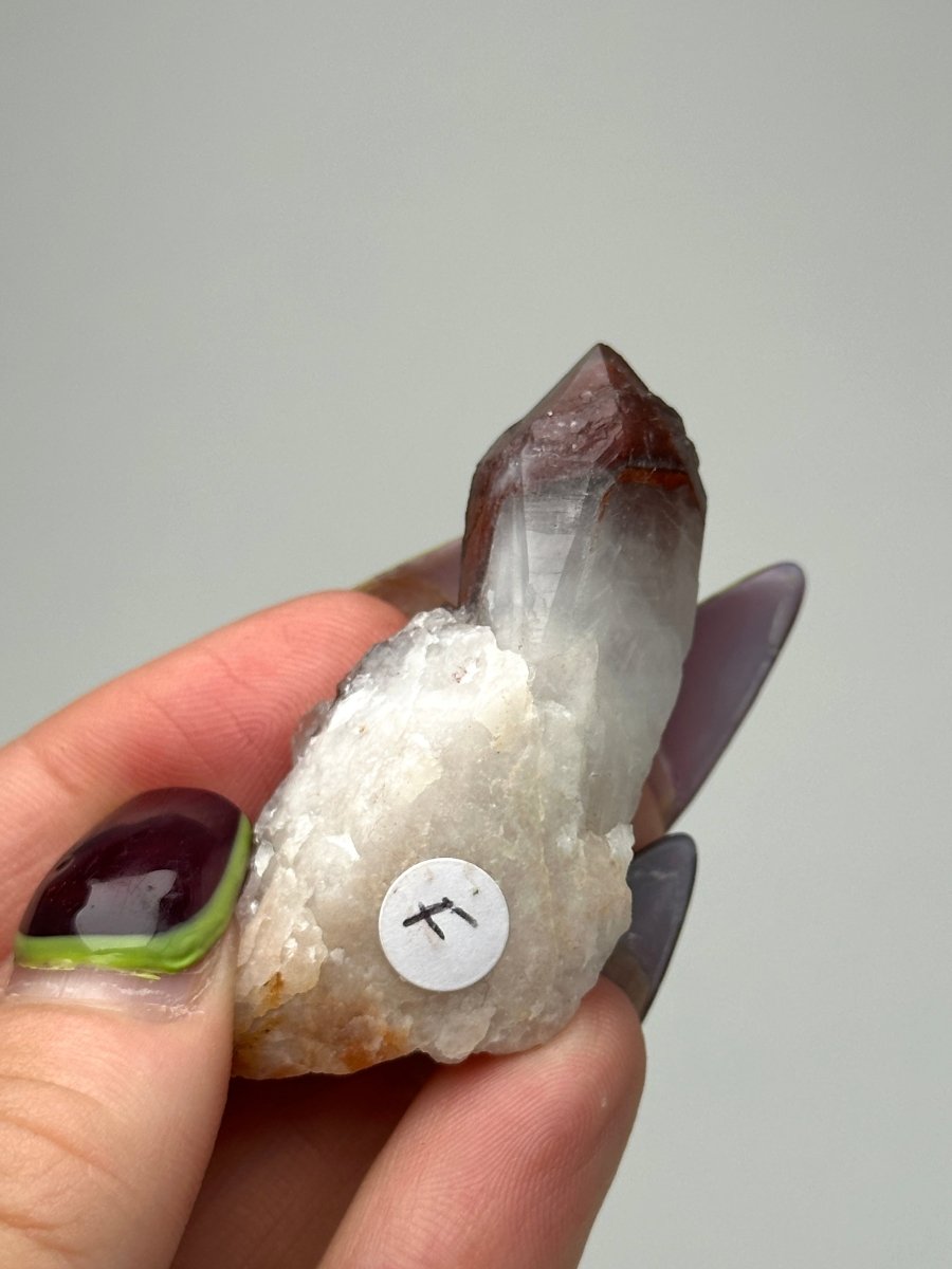 Orange River Quartz Cluster, South Africa, F Hematoid QuartzSouth Africa - Haus of Moss + Moon
