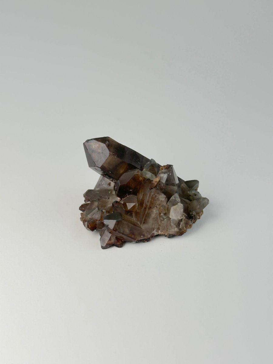Orange River Smoky Quartz Cluster, South Africa, D Smoky QuartzSouth Africa - Haus of Moss + Moon