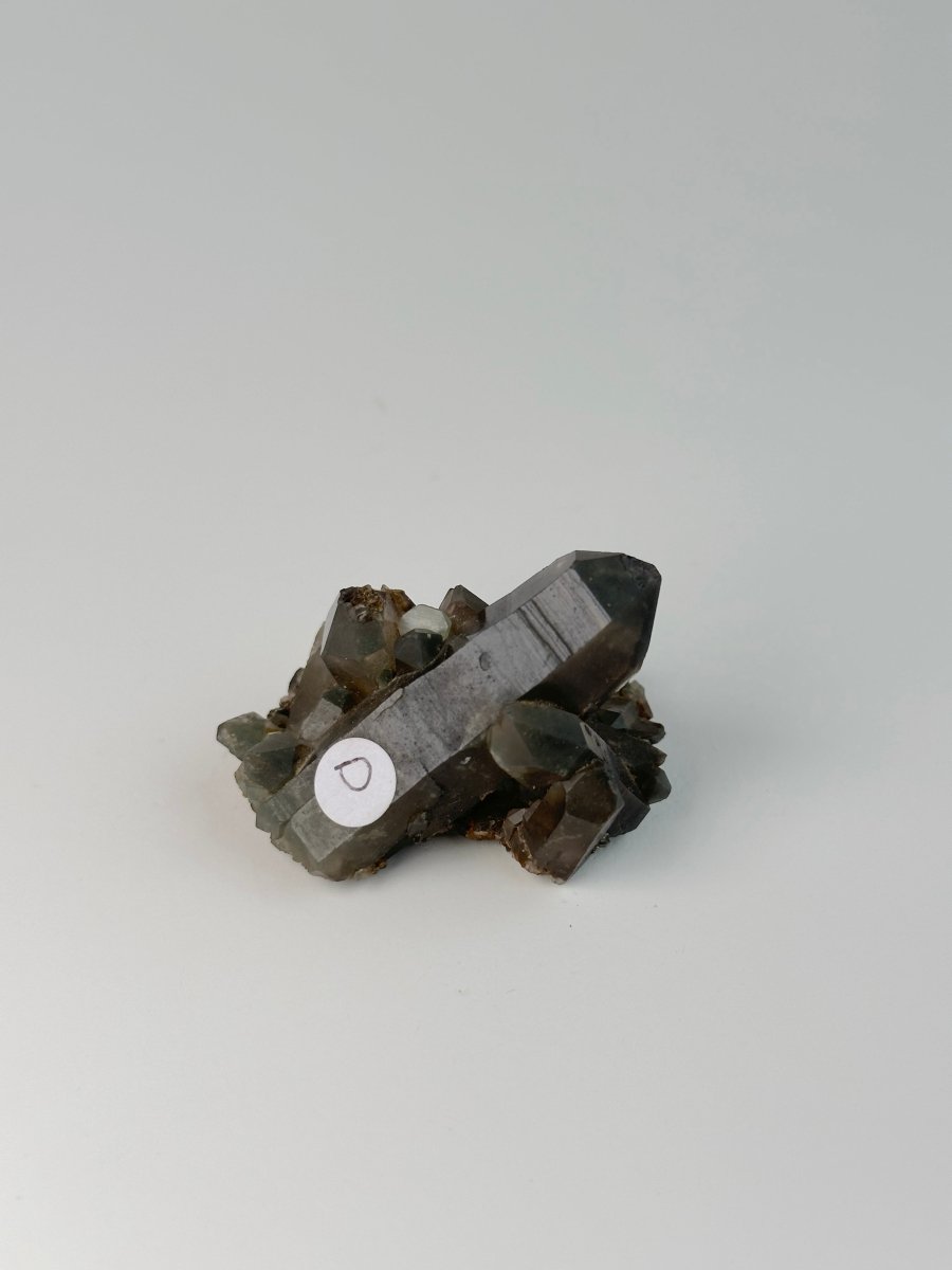 Orange River Smoky Quartz Cluster, South Africa, D Smoky QuartzSouth Africa - Haus of Moss + Moon