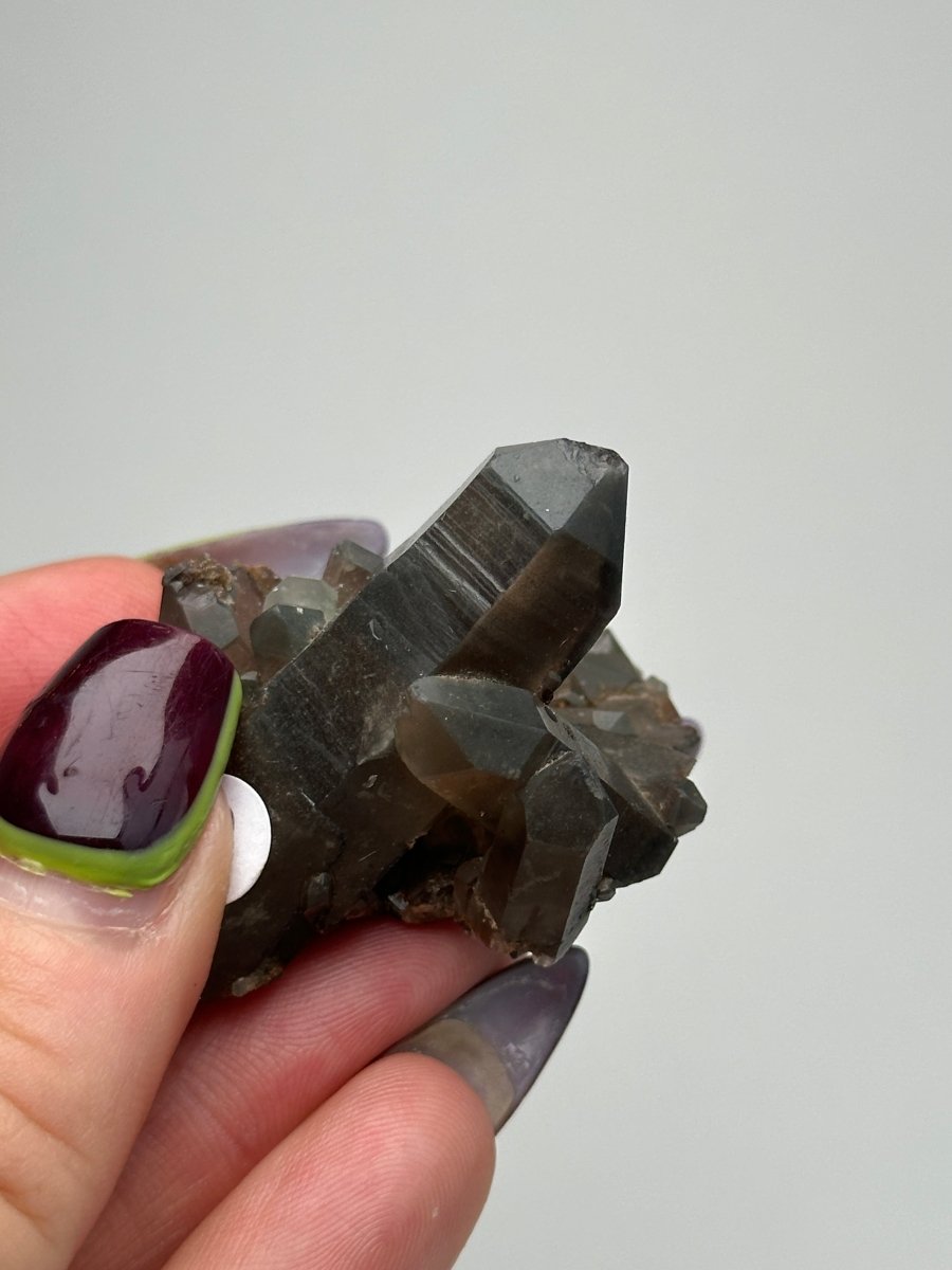 Orange River Smoky Quartz Cluster, South Africa, D Smoky QuartzSouth Africa - Haus of Moss + Moon