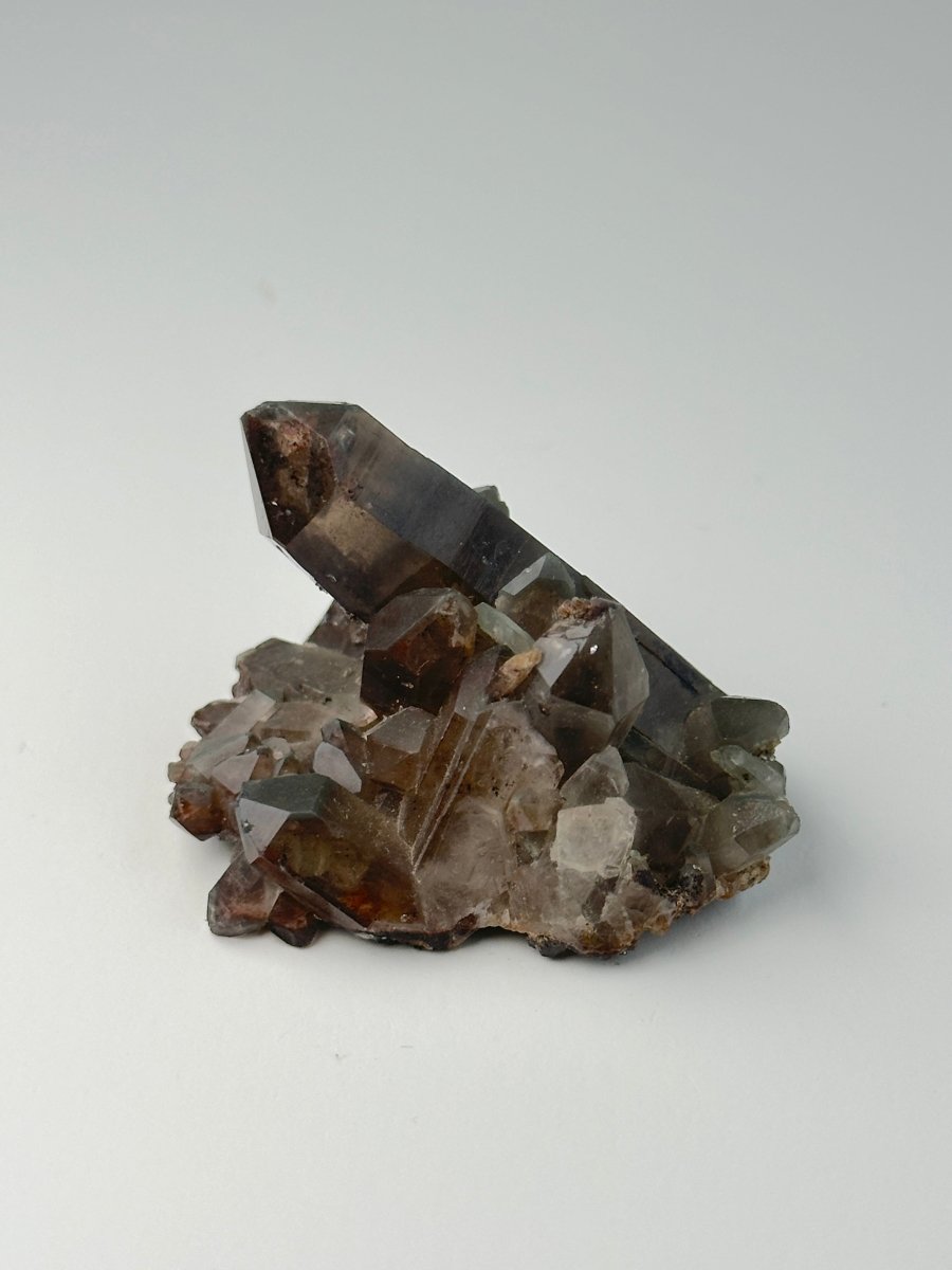 Orange River Smoky Quartz Cluster, South Africa, D Smoky QuartzSouth Africa - Haus of Moss + Moon