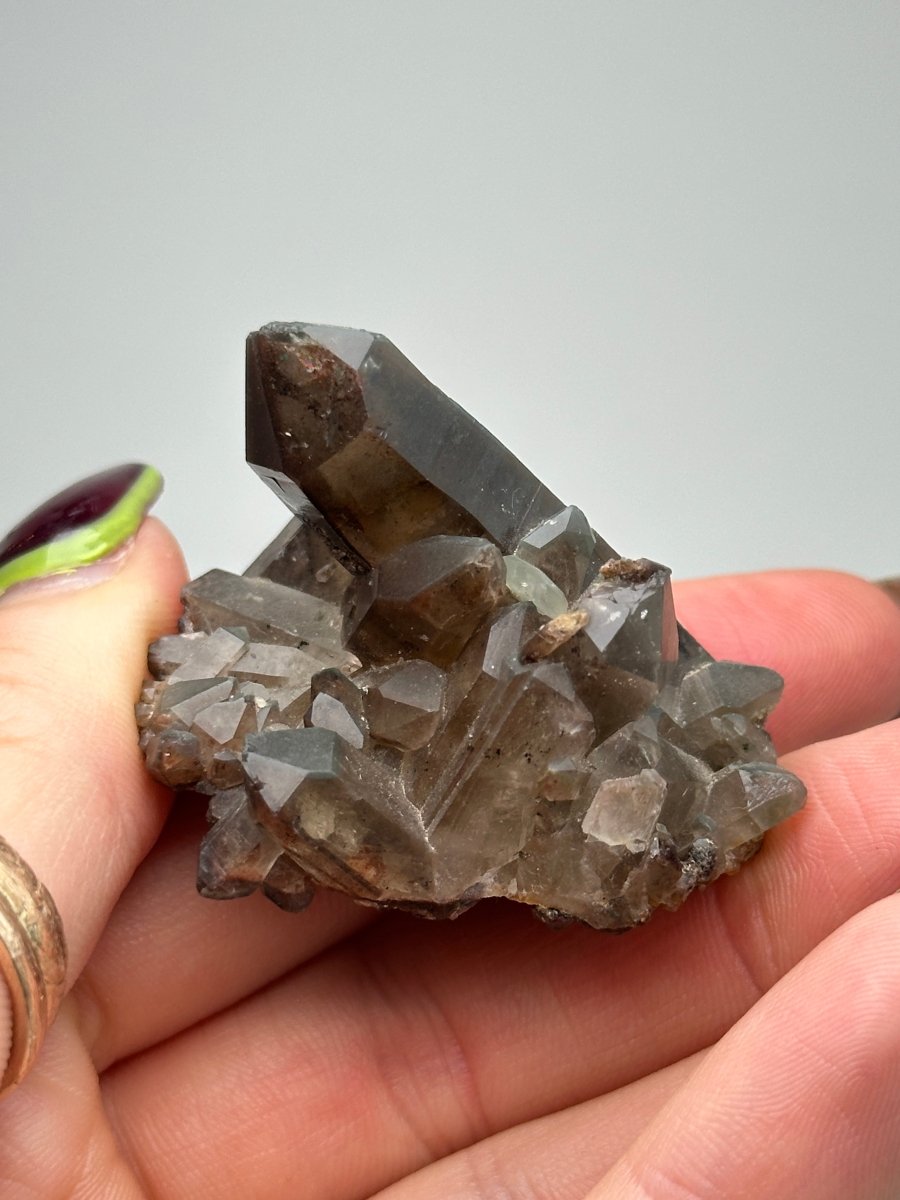 Orange River Smoky Quartz Cluster, South Africa, D Smoky QuartzSouth Africa - Haus of Moss + Moon