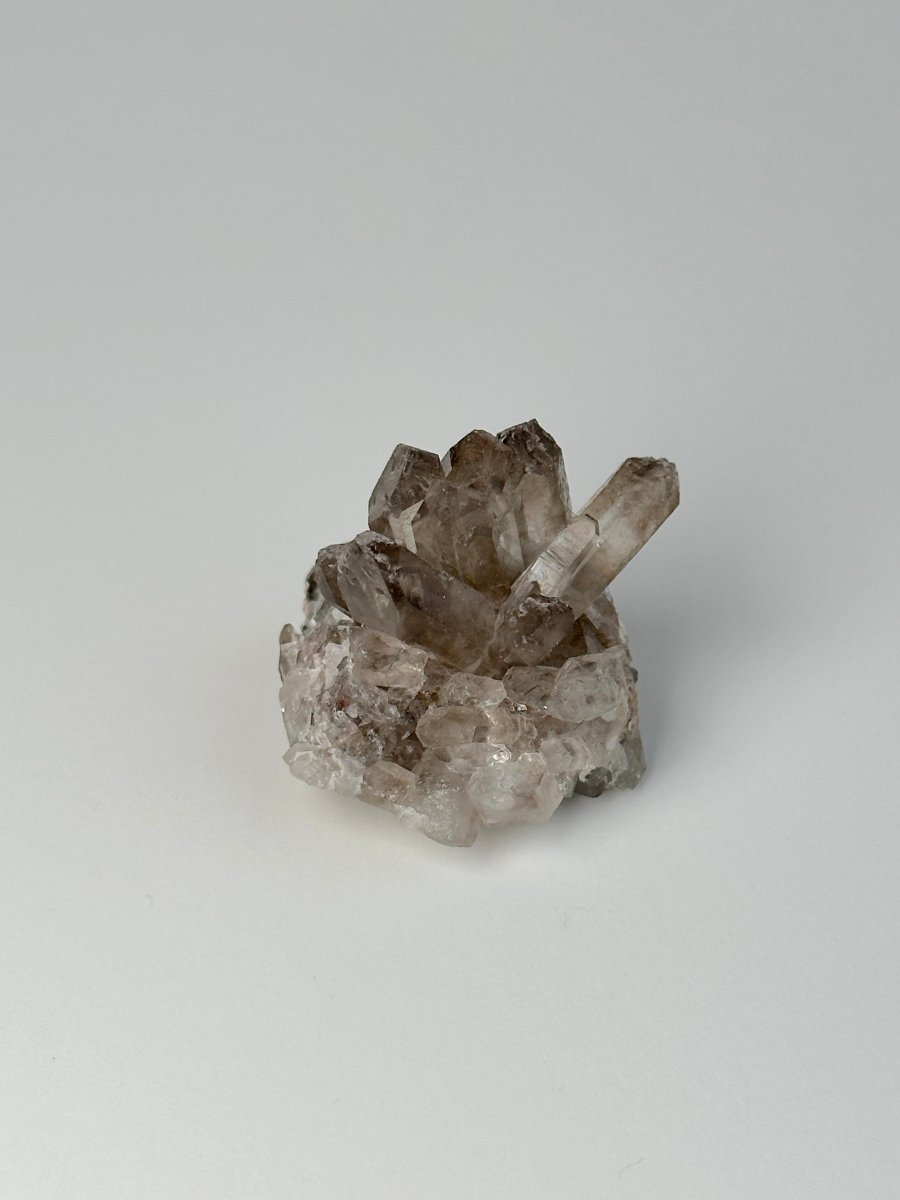 Orange River Smoky Quartz Cluster, South Africa, E Smoky QuartzSouth Africa - Haus of Moss + Moon