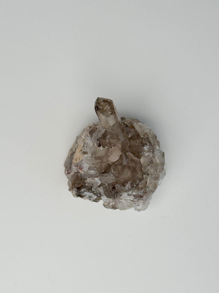 Orange River Smoky Quartz Cluster, South Africa, E Smoky QuartzSouth Africa - Haus of Moss + Moon