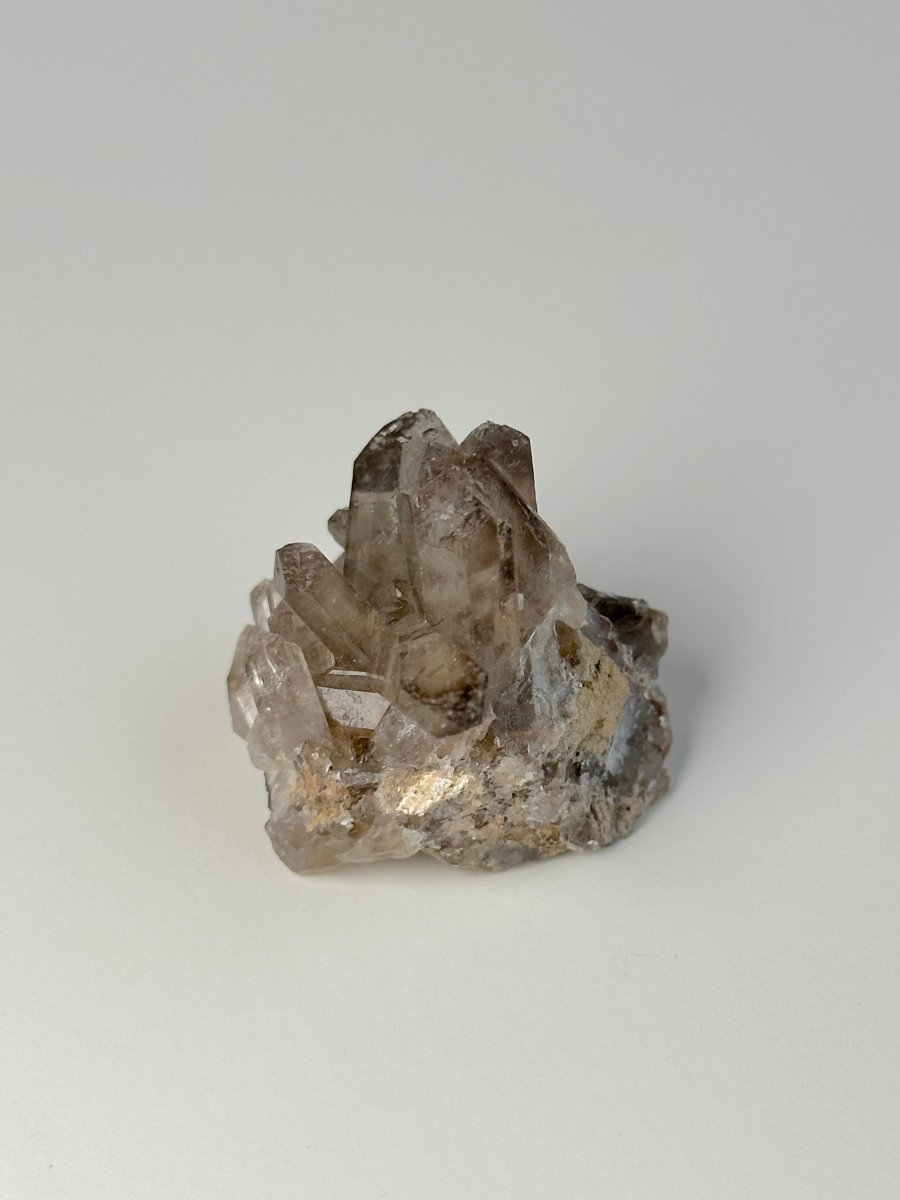 Orange River Smoky Quartz Cluster, South Africa, E Smoky QuartzSouth Africa - Haus of Moss + Moon