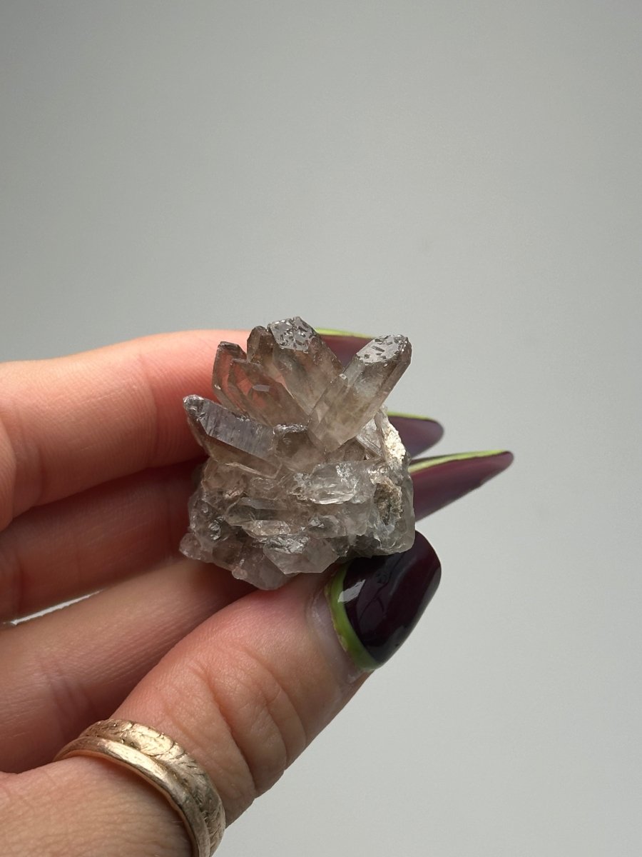 Orange River Smoky Quartz Cluster, South Africa, E Smoky QuartzSouth Africa - Haus of Moss + Moon