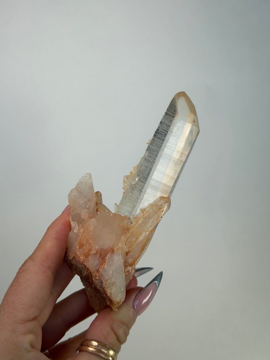 Pink Madagascan Clear Quartz, A Iron Quartz Madagascar - Haus of Moss + Moon - Pink Clear Quartz
