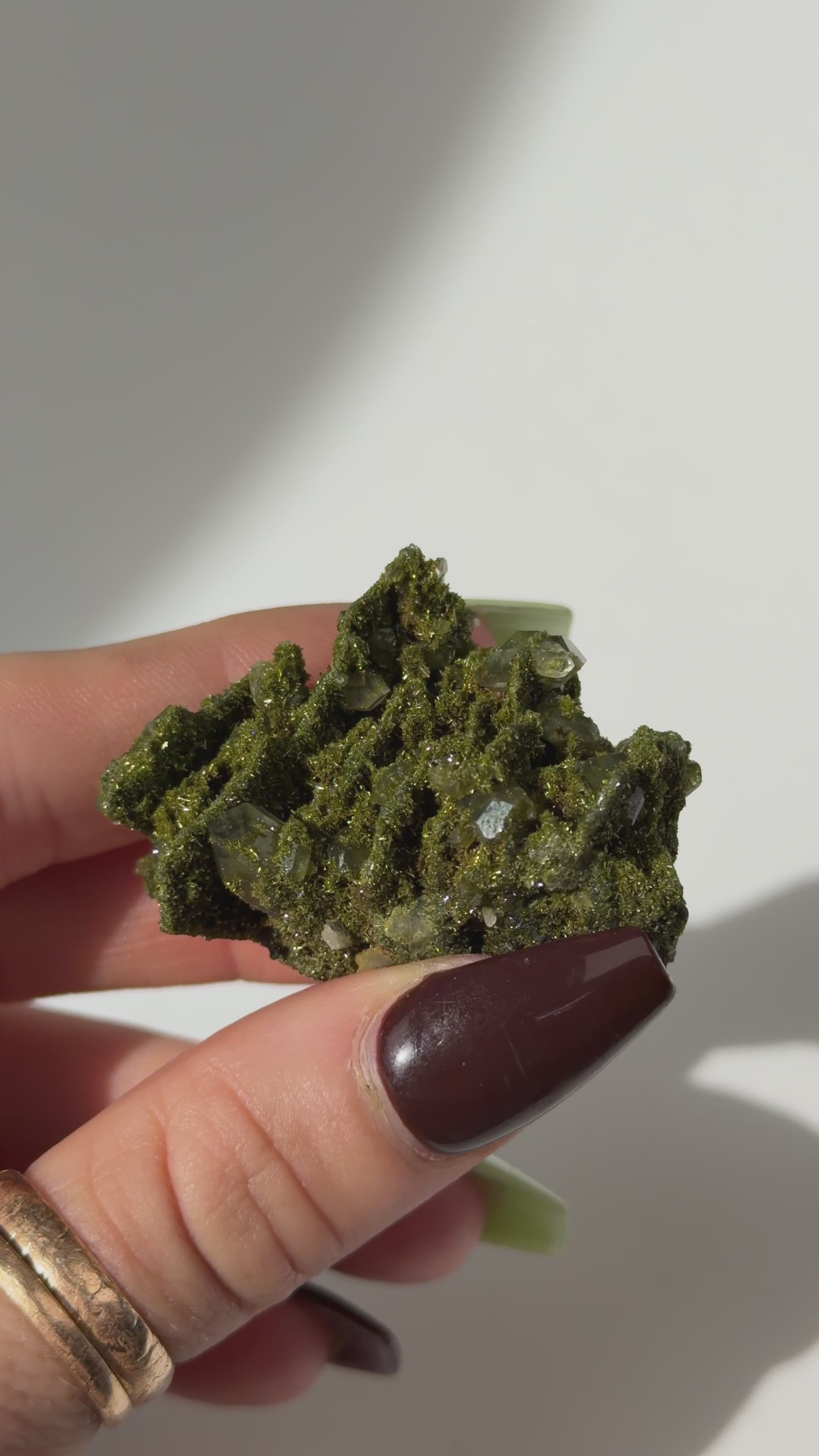 Turkish Forest Epidote and Quartz, Q