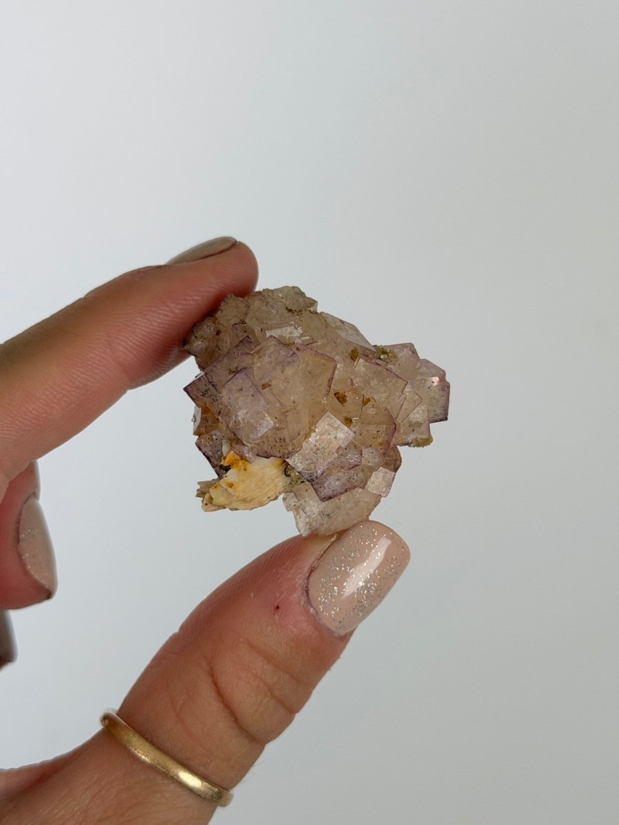 Purple Fluorite, North Yorkshire FluoriteUnited Kingdom- Haus of Moss and Moon