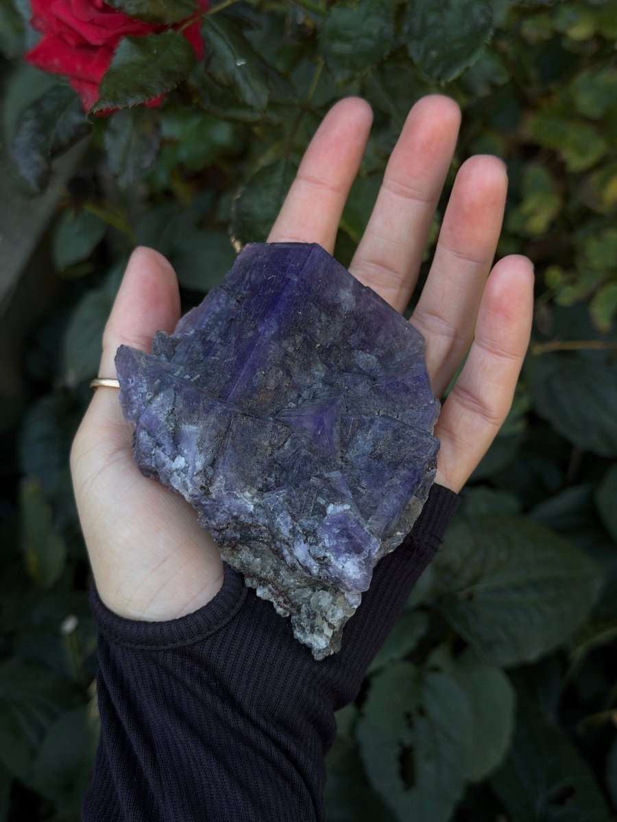 Purple Fluorite, Weardale FluoriteUnited Kingdom- Haus of Moss and Moon