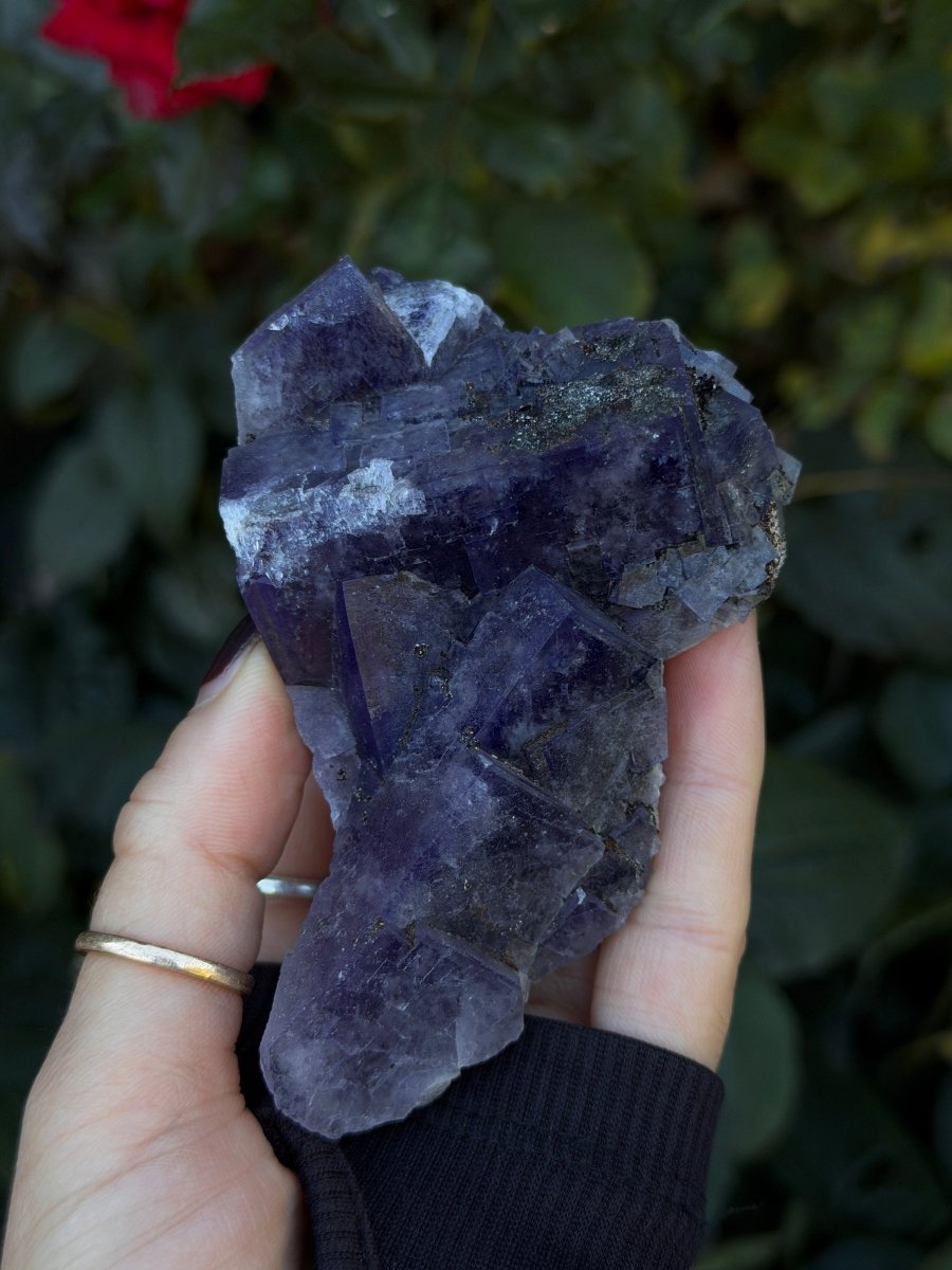 Purple Fluorite, Weardale FluoriteUnited Kingdom- Haus of Moss and Moon