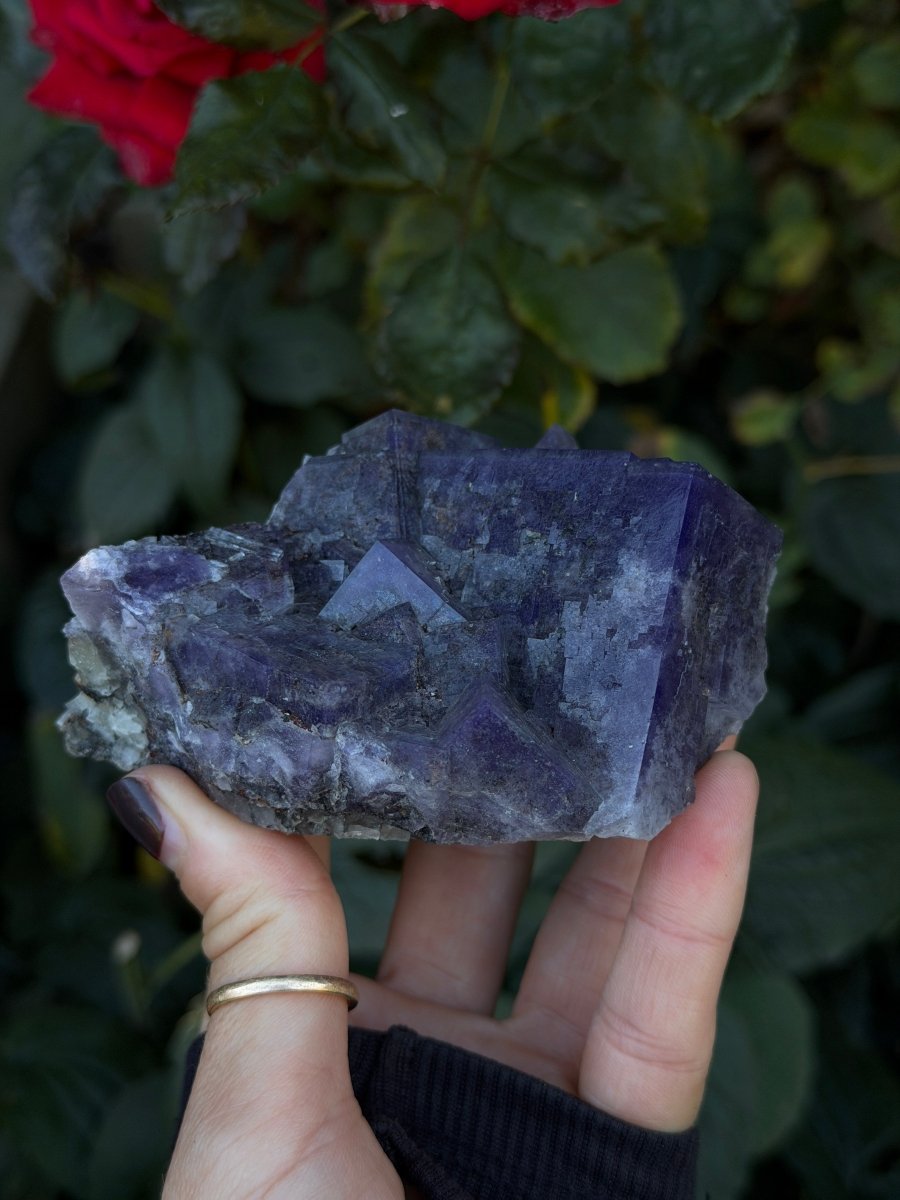 Purple Fluorite, Weardale FluoriteUnited Kingdom- Haus of Moss and Moon