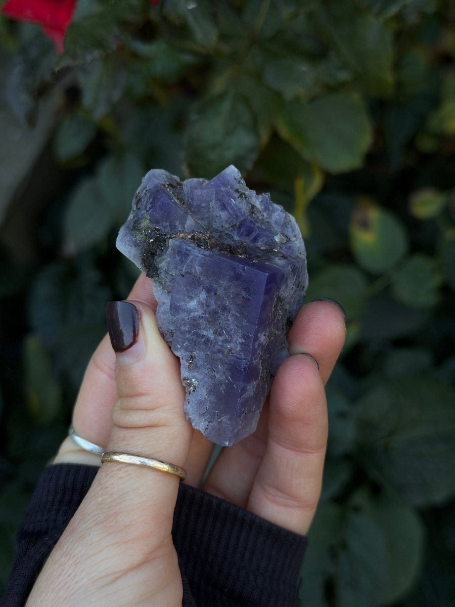 Purple Fluorite, Weardale FluoriteUnited Kingdom- Haus of Moss and Moon