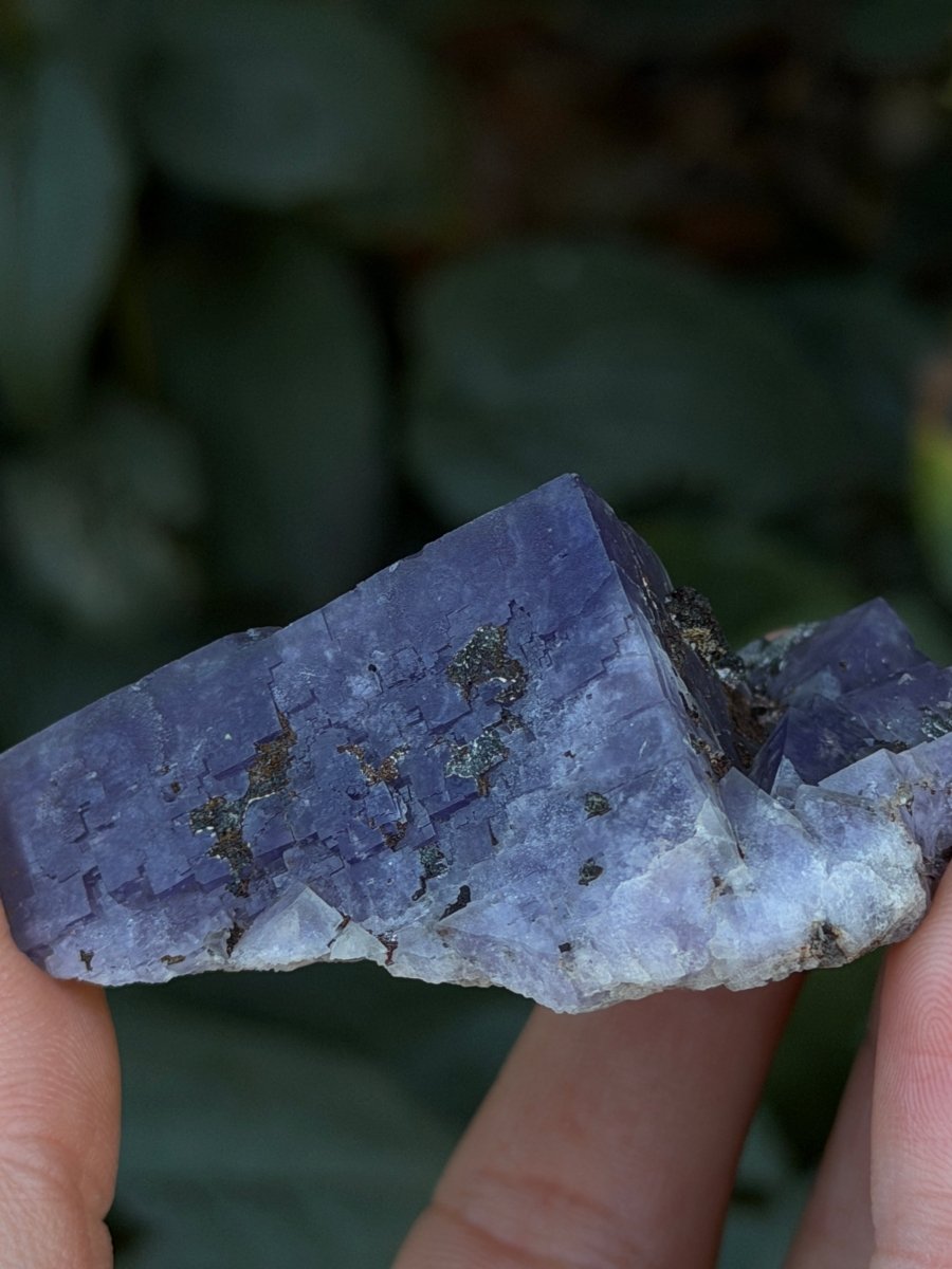 Purple Fluorite, Weardale FluoriteUnited Kingdom- Haus of Moss and Moon
