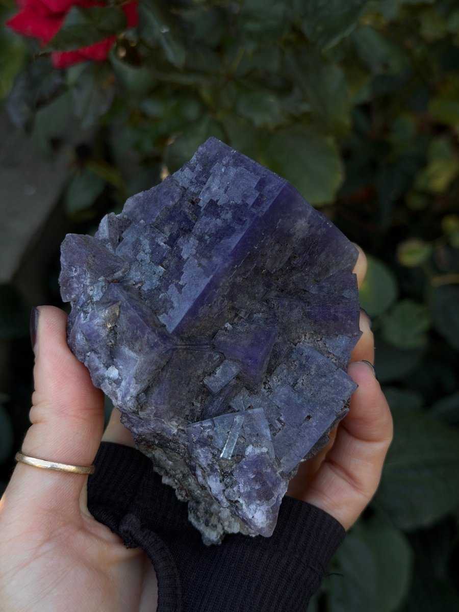 Purple Fluorite, Weardale FluoriteUnited Kingdom- Haus of Moss and Moon