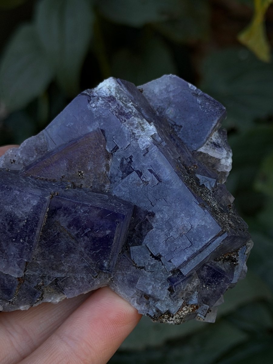 Purple Fluorite, Weardale FluoriteUnited Kingdom- Haus of Moss and Moon