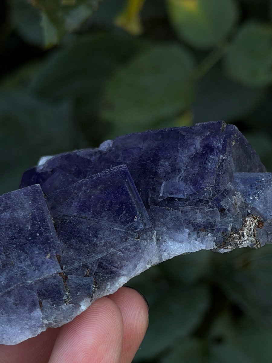 Purple Fluorite, Weardale FluoriteUnited Kingdom- Haus of Moss and Moon
