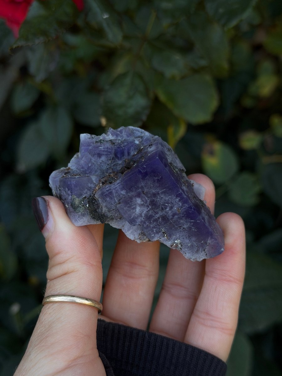 Purple Fluorite, Weardale FluoriteUnited Kingdom- Haus of Moss and Moon