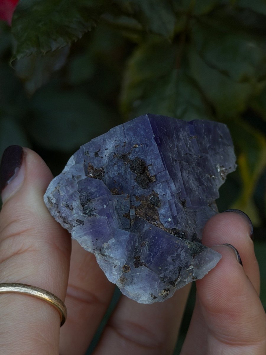 Purple Fluorite, Weardale FluoriteUnited Kingdom- Haus of Moss and Moon