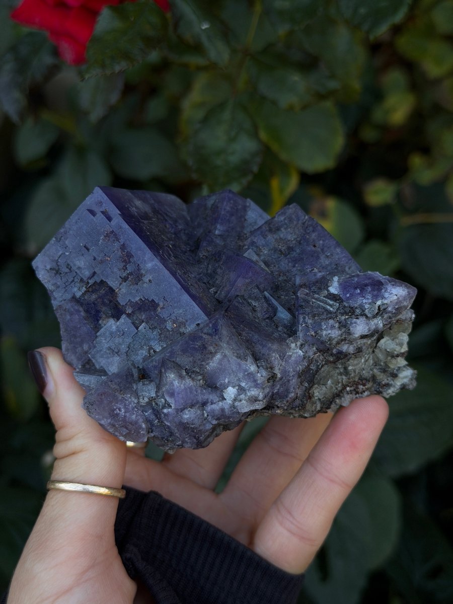 Purple Fluorite, Weardale FluoriteUnited Kingdom- Haus of Moss and Moon