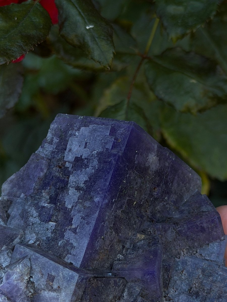Purple Fluorite, Weardale FluoriteUnited Kingdom- Haus of Moss and Moon