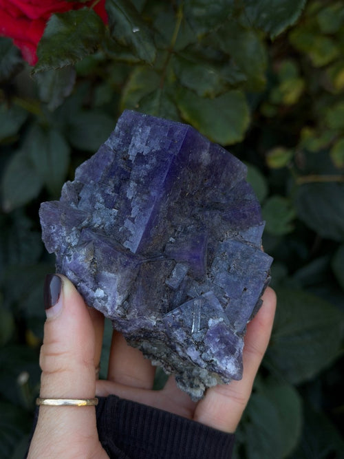 Purple Fluorite, Weardale FluoriteUnited Kingdom- Haus of Moss and Moon