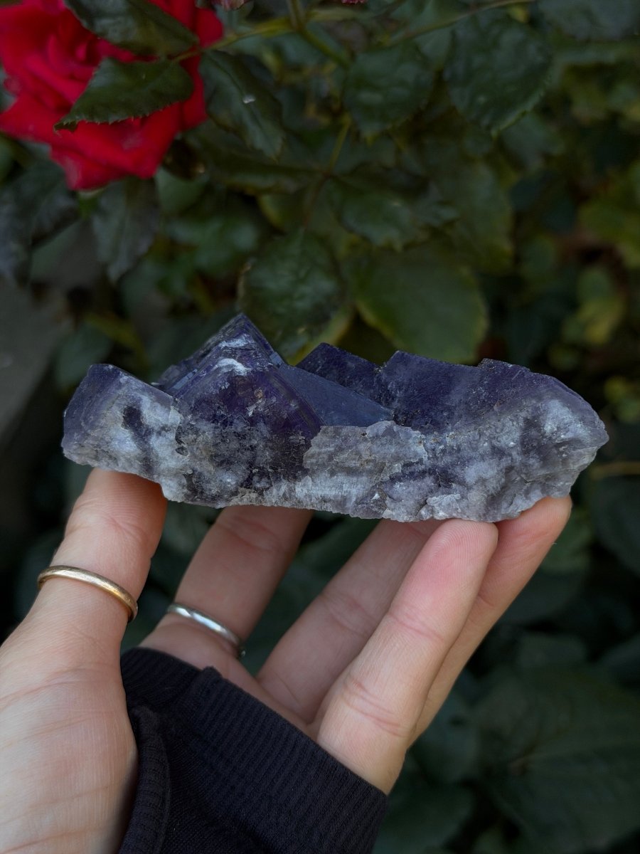 Purple Fluorite, Weardale FluoriteUnited Kingdom- Haus of Moss and Moon
