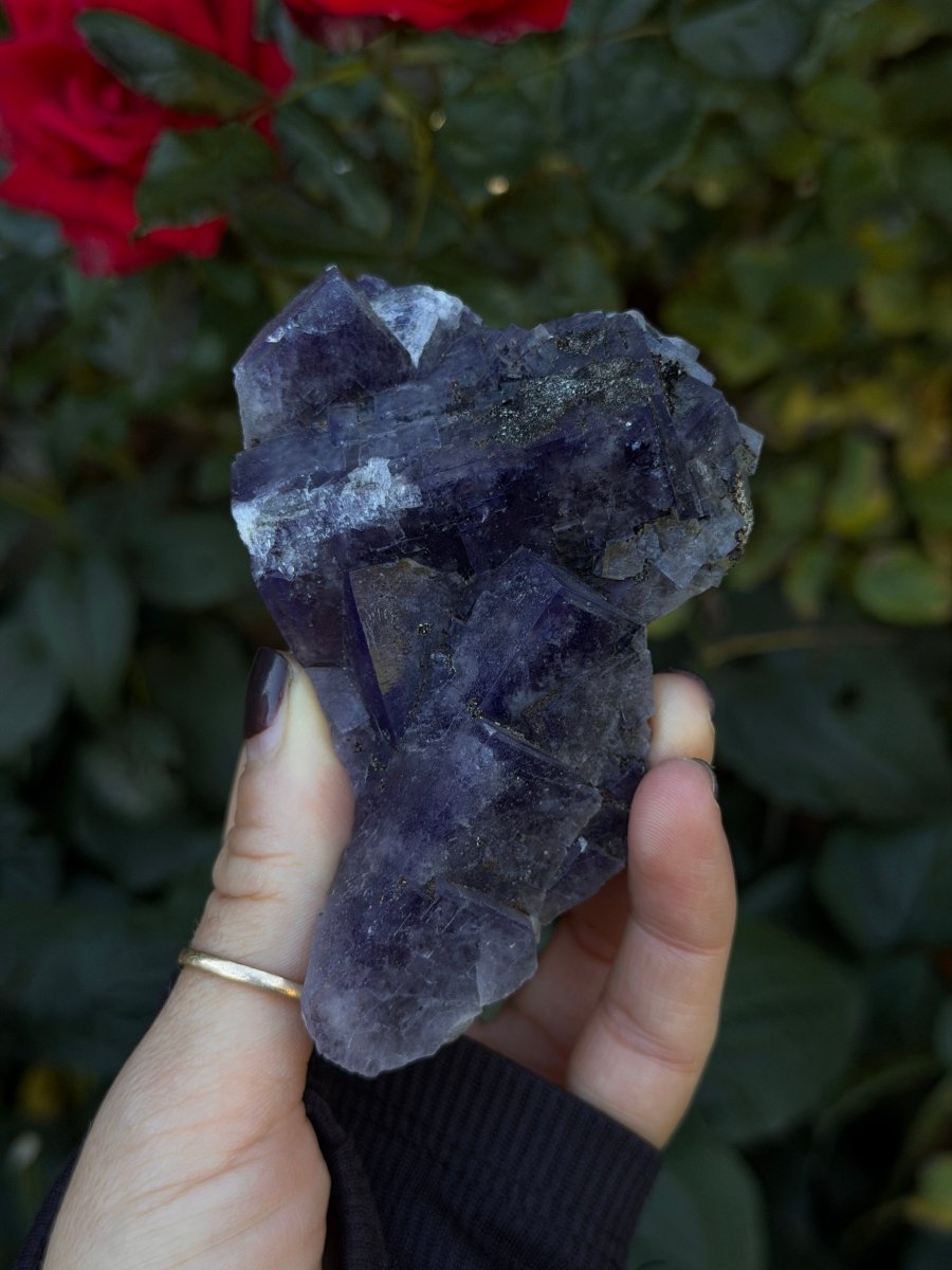 Purple Fluorite, Weardale FluoriteUnited Kingdom- Haus of Moss and Moon