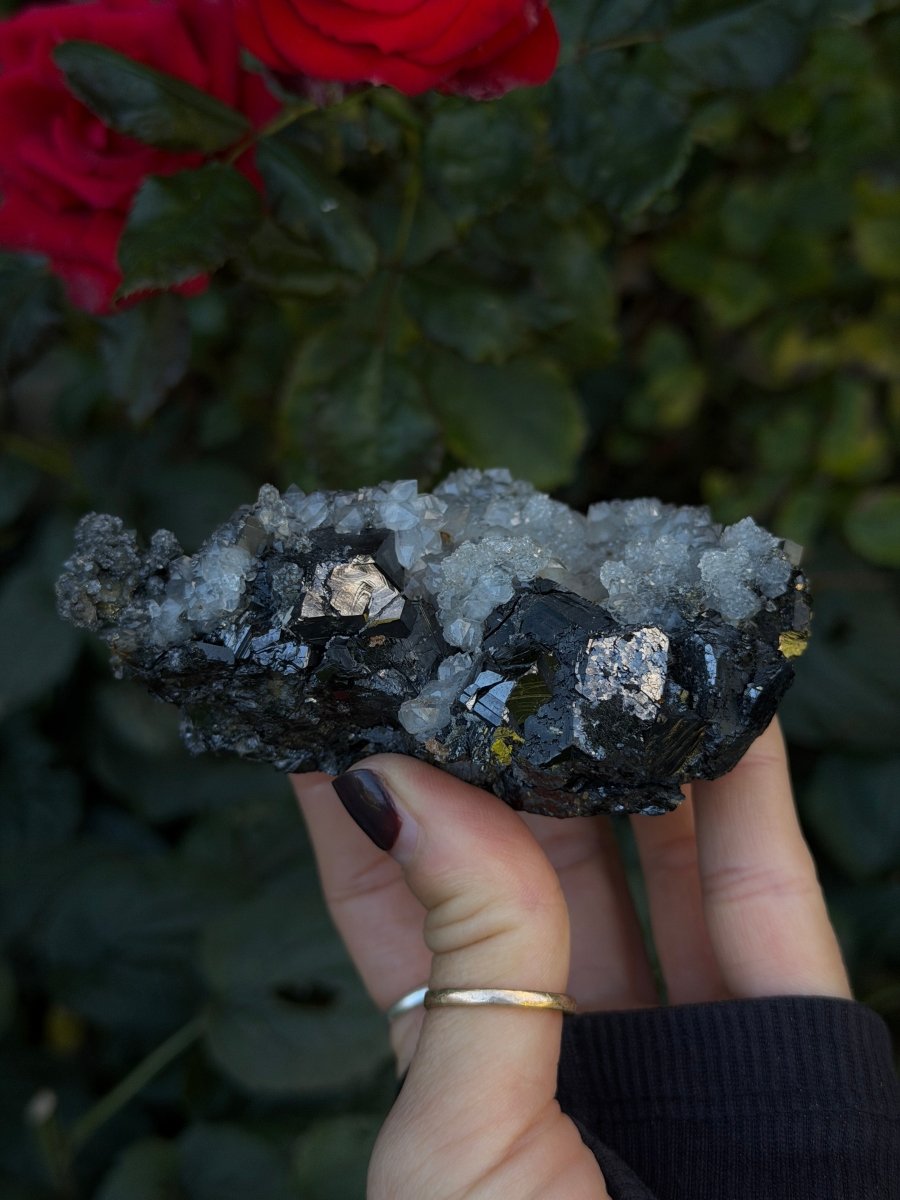 Quartz on Sphalerite, Kosovo Clear QuartzKosovo- Haus of Moss and Moon