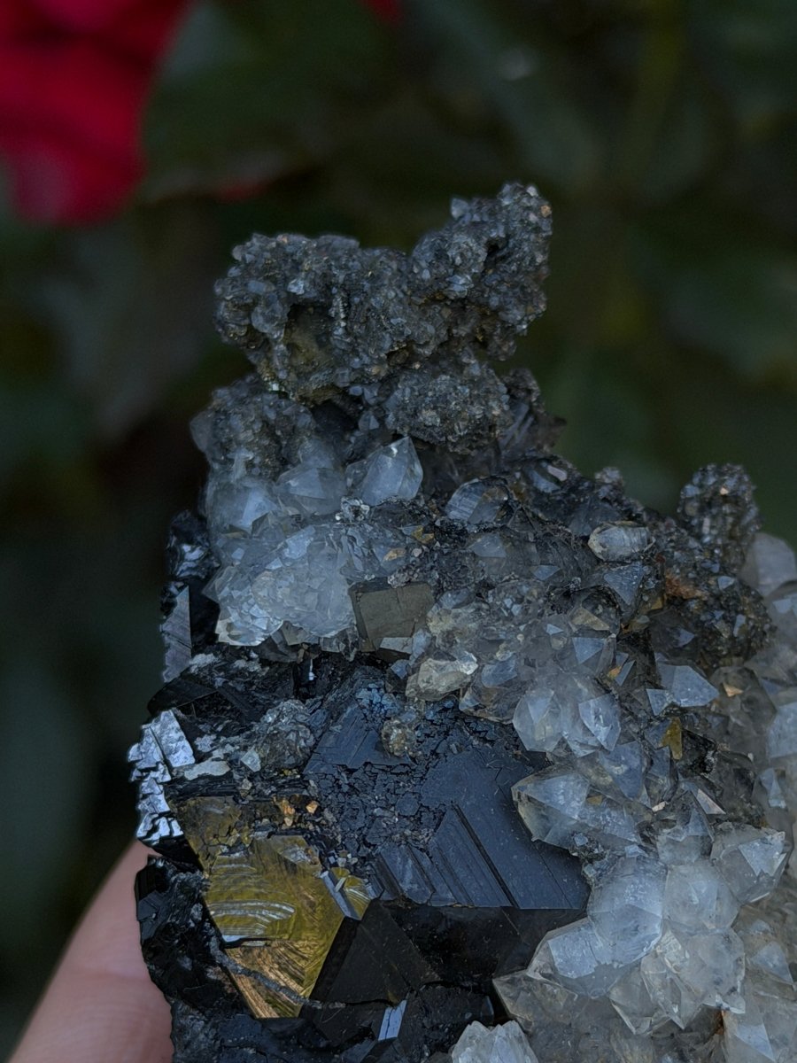 Quartz on Sphalerite, Kosovo Clear QuartzKosovo- Haus of Moss and Moon