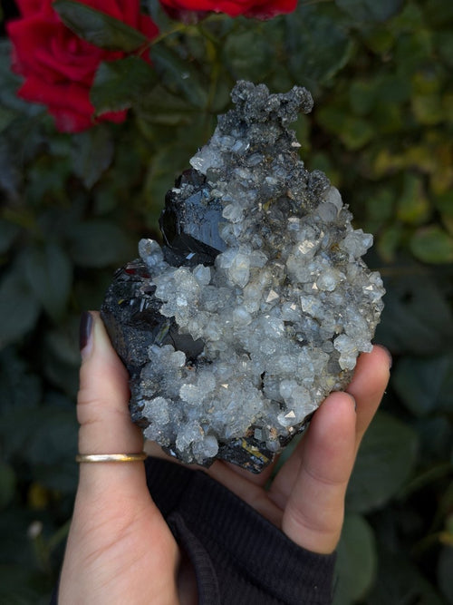 Quartz on Sphalerite, Kosovo Clear QuartzKosovo- Haus of Moss and Moon