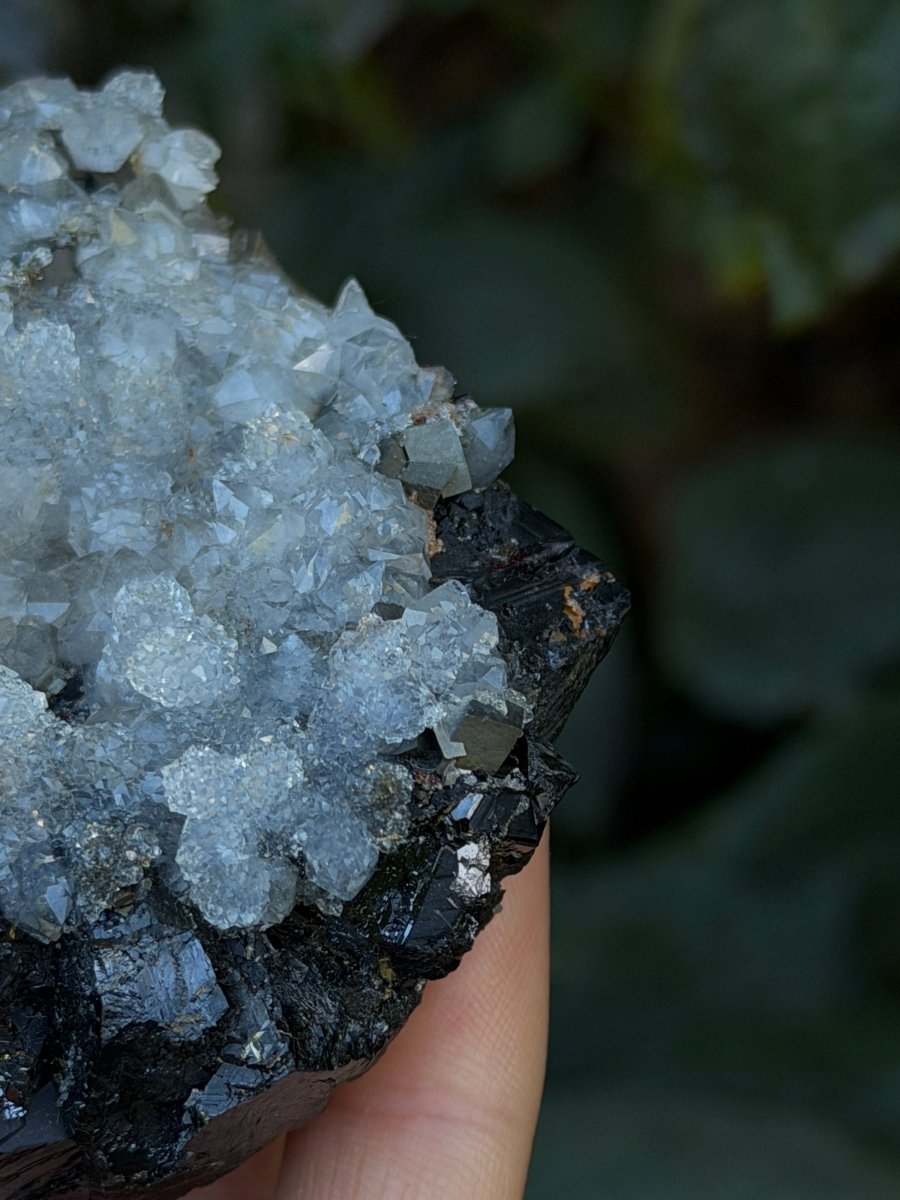 Quartz on Sphalerite, Kosovo Clear QuartzKosovo- Haus of Moss and Moon