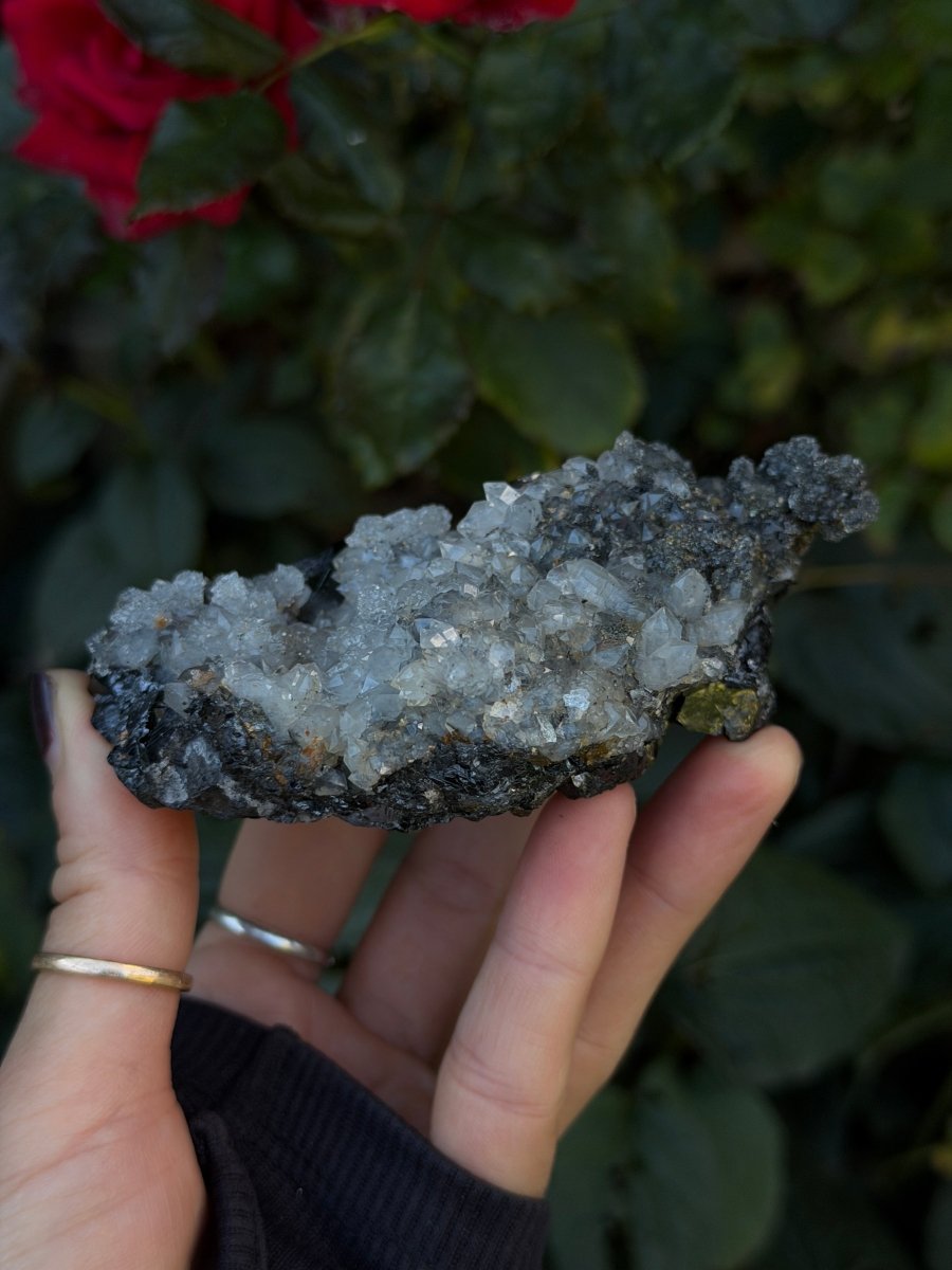 Quartz on Sphalerite, Kosovo Clear QuartzKosovo- Haus of Moss and Moon