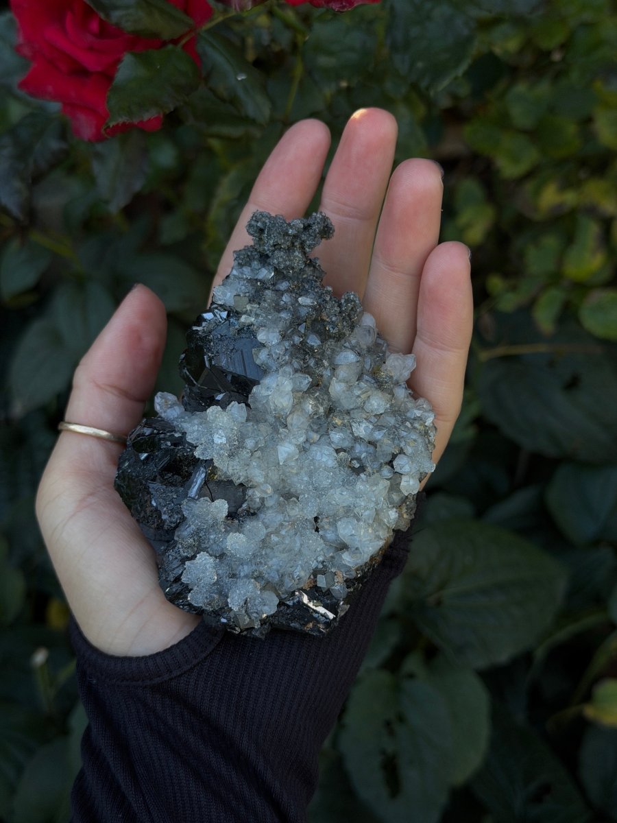 Quartz on Sphalerite, Kosovo Clear QuartzKosovo- Haus of Moss and Moon