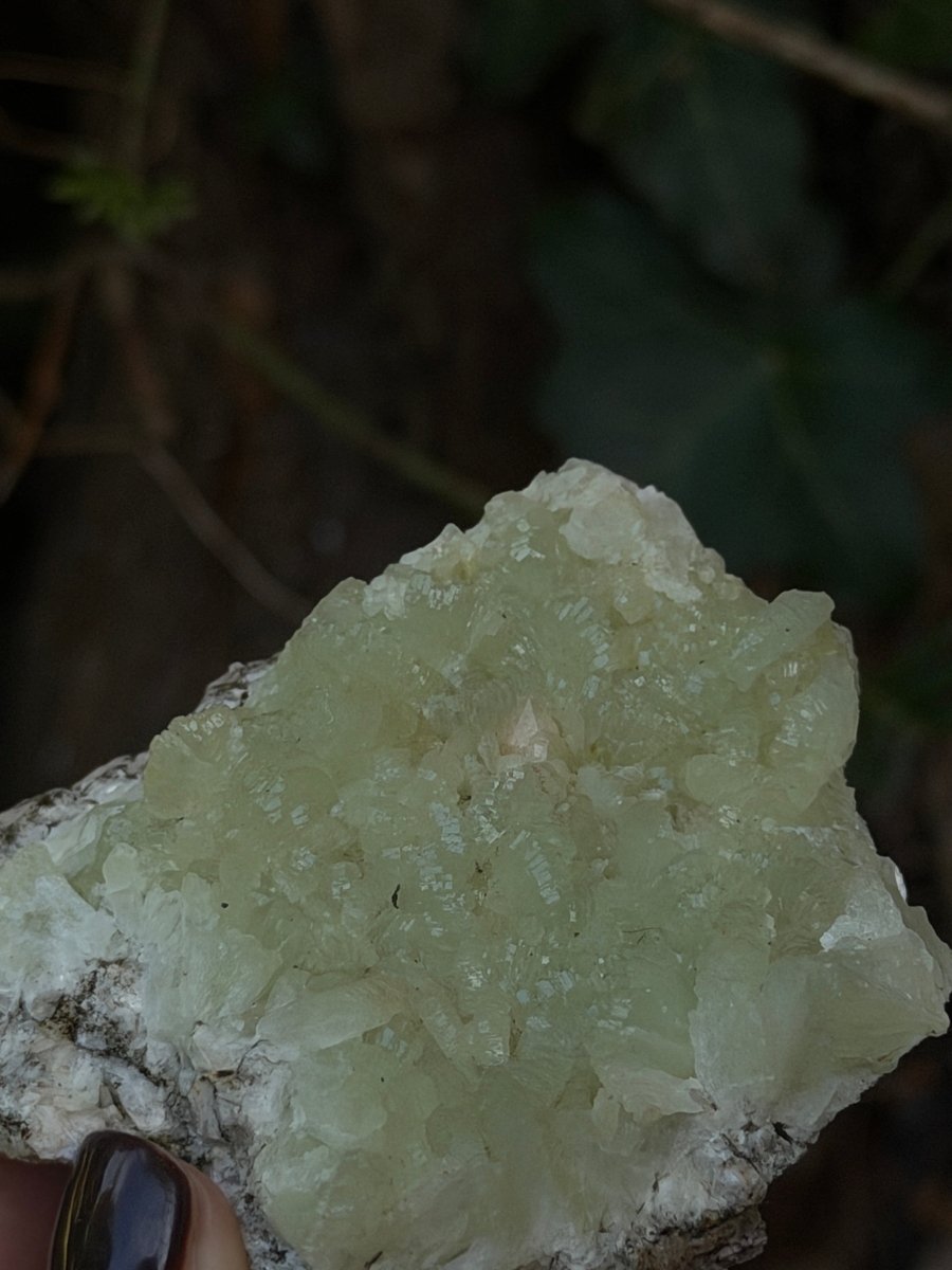 Raw Prehnite, Morocco, C PrehniteMorocco- Haus of Moss and Moon