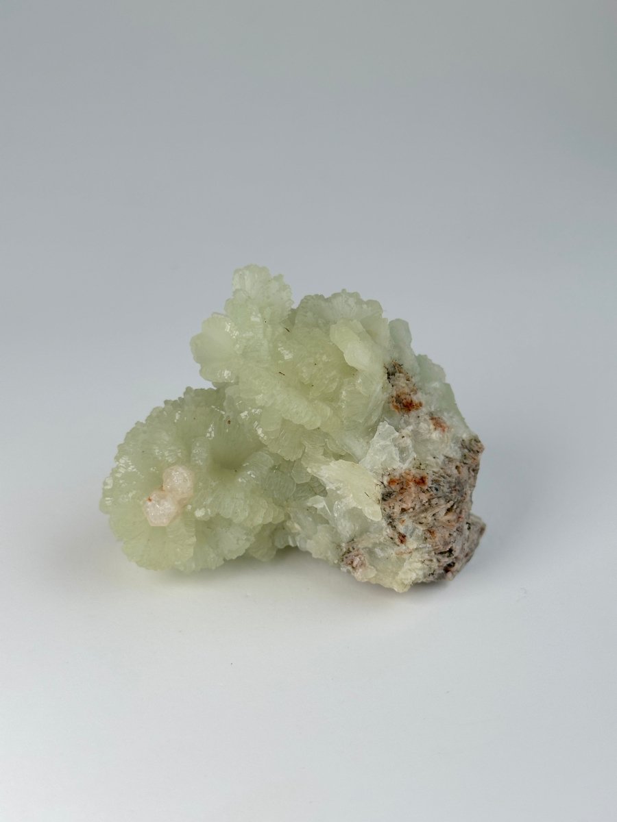 Raw Prehnite, Morocco, C PrehniteMorocco - Haus of Moss + Moon