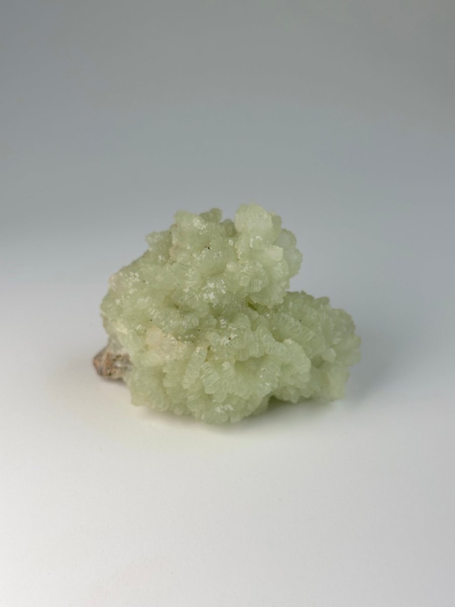 Raw Prehnite, Morocco, C PrehniteMorocco - Haus of Moss + Moon