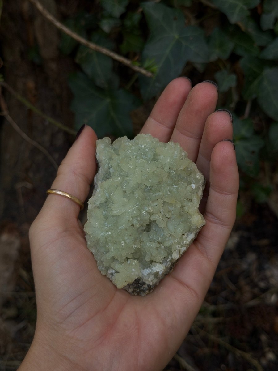 Raw Prehnite, Morocco, D PrehniteMorocco- Haus of Moss and Moon