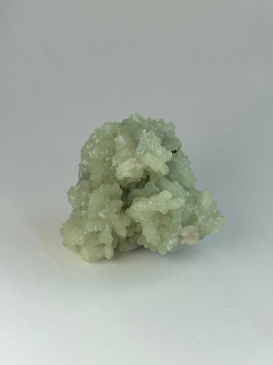 Raw Prehnite, Morocco, F PrehniteMorocco - Haus of Moss + Moon