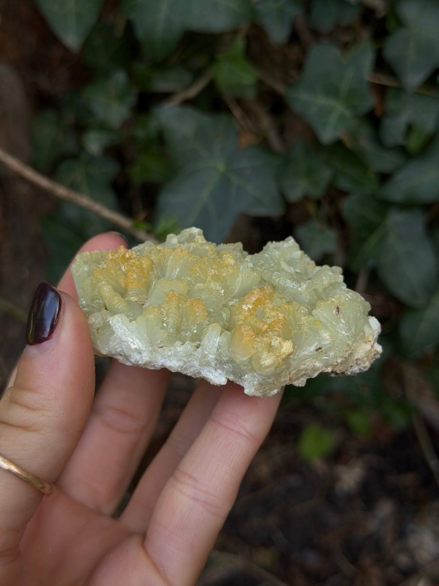 Raw Prehnite, Morocco, G PrehniteMorocco- Haus of Moss and Moon