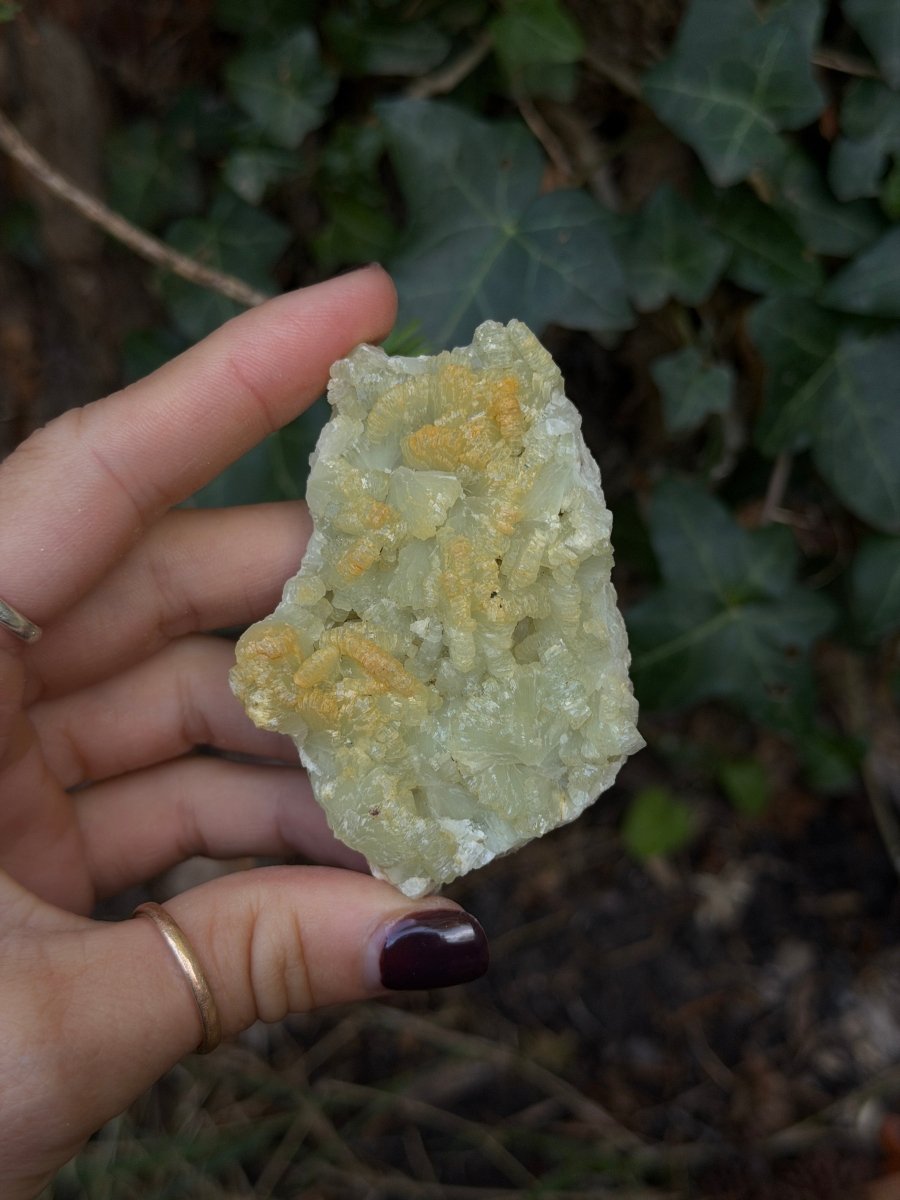 Raw Prehnite, Morocco, G PrehniteMorocco- Haus of Moss and Moon
