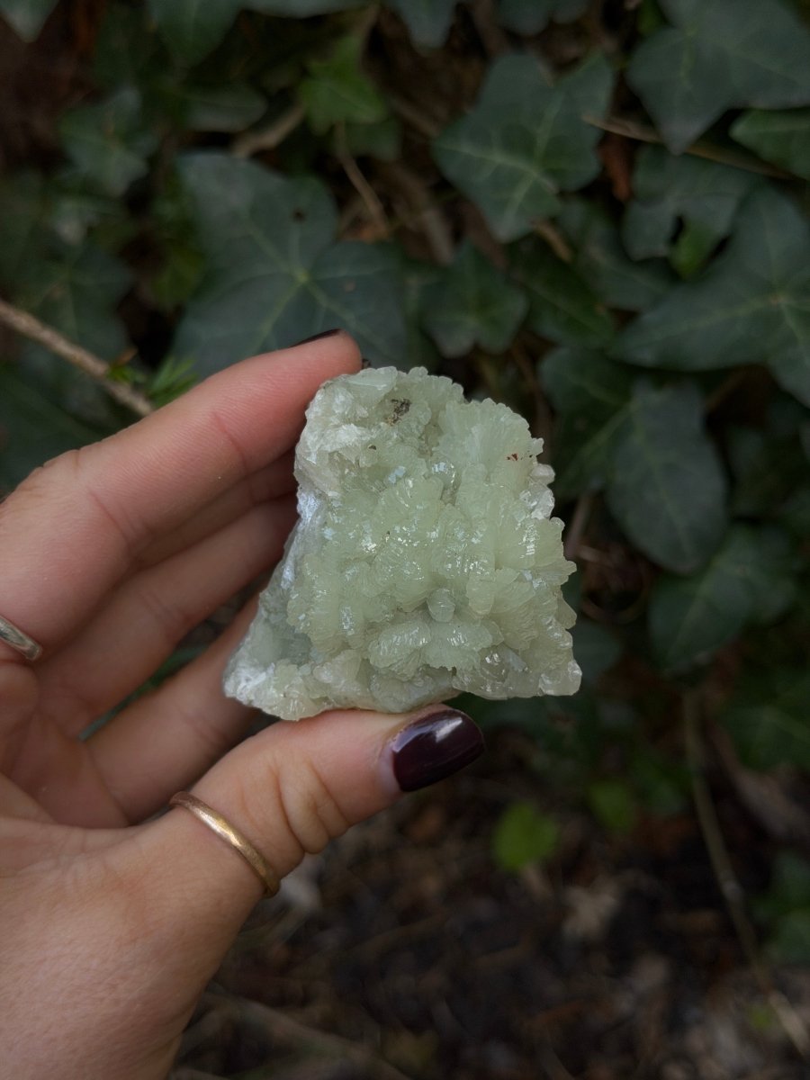 Raw Prehnite, Morocco, H PrehniteMorocco- Haus of Moss and Moon