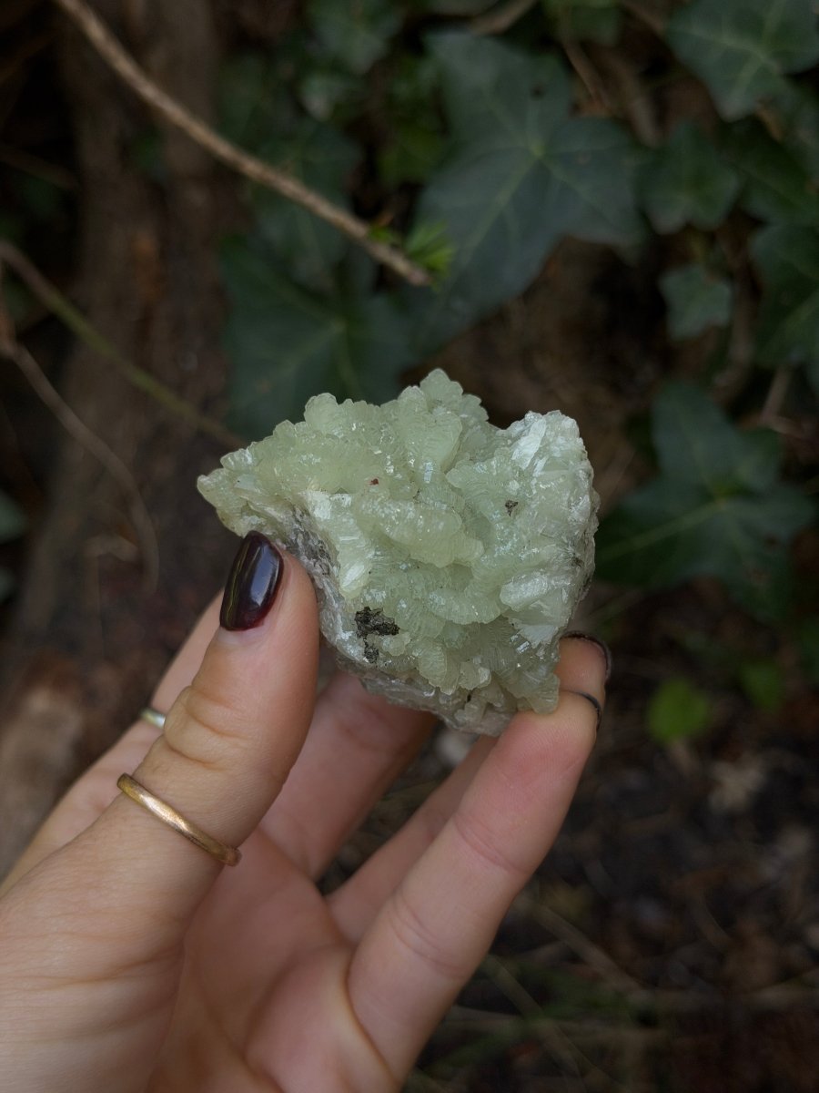Raw Prehnite, Morocco, H PrehniteMorocco- Haus of Moss and Moon