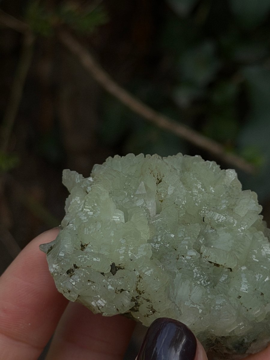 Raw Prehnite, Morocco, L PrehniteMorocco- Haus of Moss and Moon