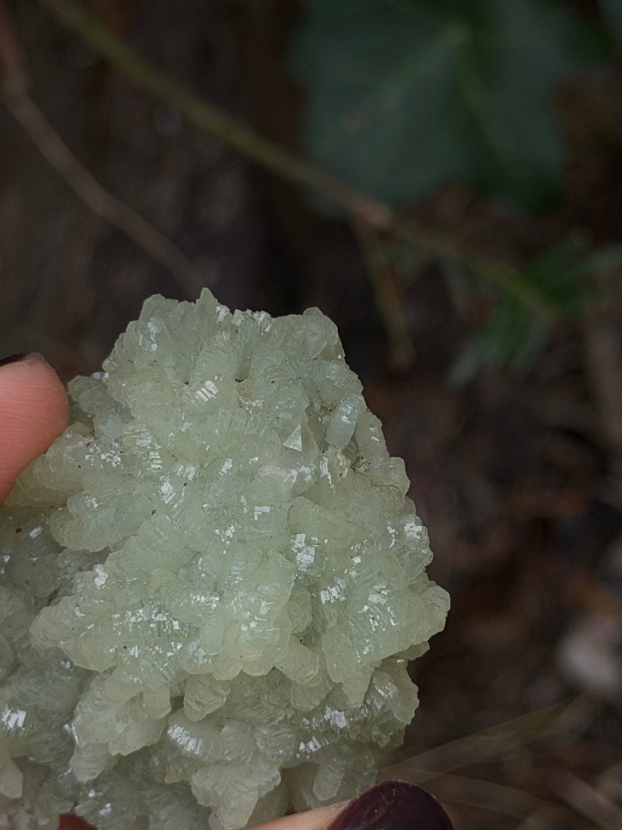 Raw Prehnite, Morocco, N PrehniteMorocco- Haus of Moss and Moon